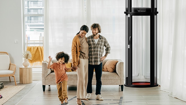 How Much Time Does It Take Nibav Home Lift Companies in UAE - Nibav Lifts