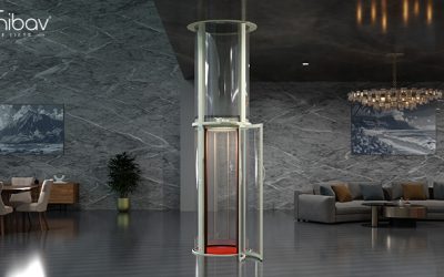 The World’s First App-Controlled Home Lift: AI Meets Innovation